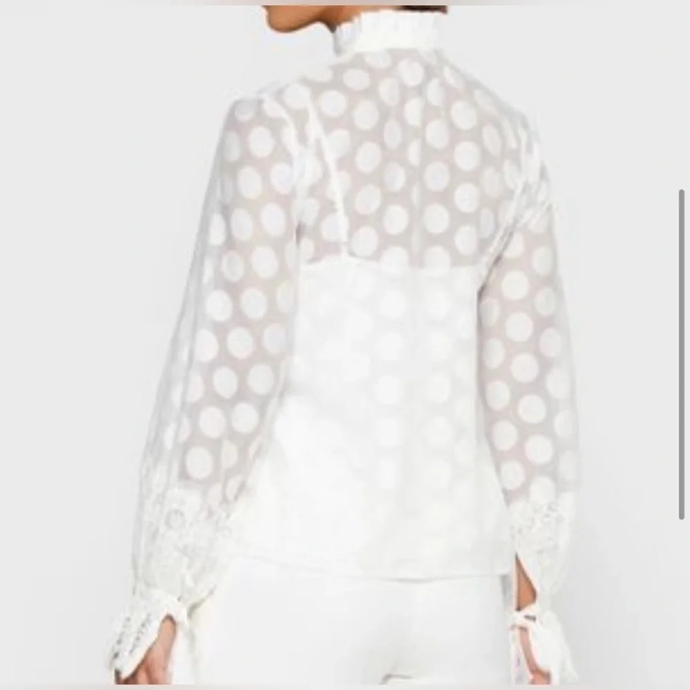 Keepsake Sheer Ruffle Blouse - Picture 7 of 15